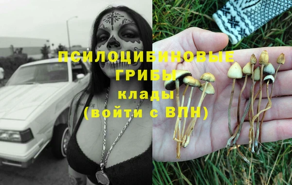 apvp Алзамай