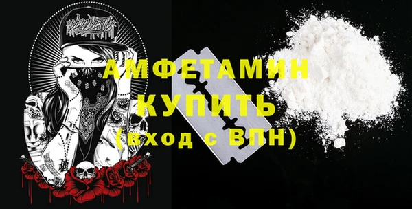 мет Алексин