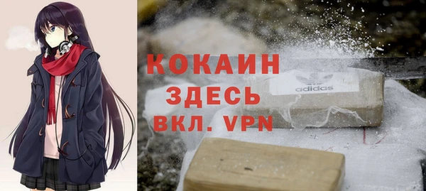 apvp Алзамай