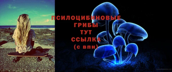 apvp Алзамай