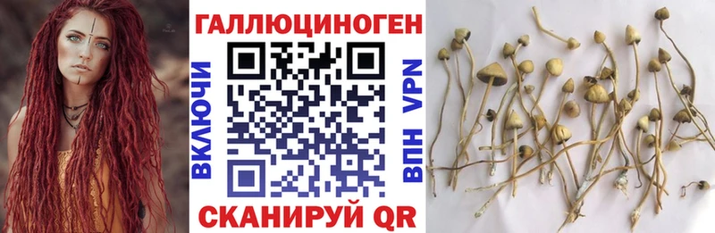 что такое наркотик  сайты даркнета официальный сайт  Псилоцибиновые грибы мицелий  Саров 