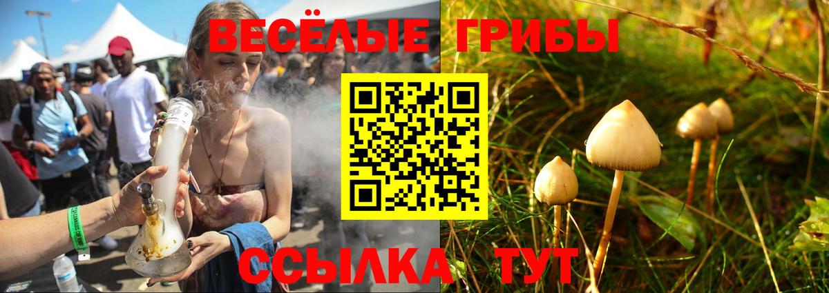 Псилоцибиновые грибы мухоморы Саров